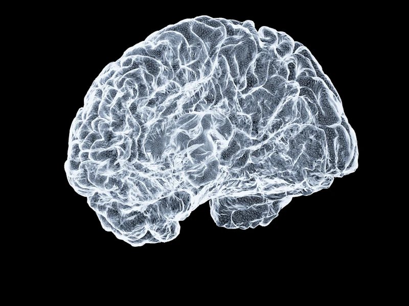 Memory and Neuro Health at Guide Health Hub